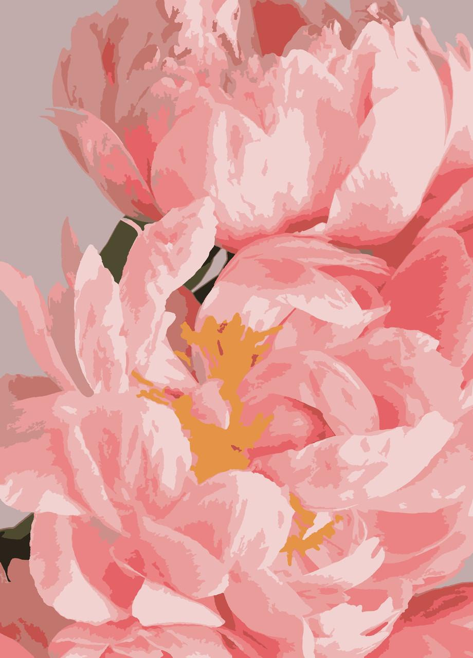 Картин по номерам "Нежне пион" 50*60 см No Brand (254584106)