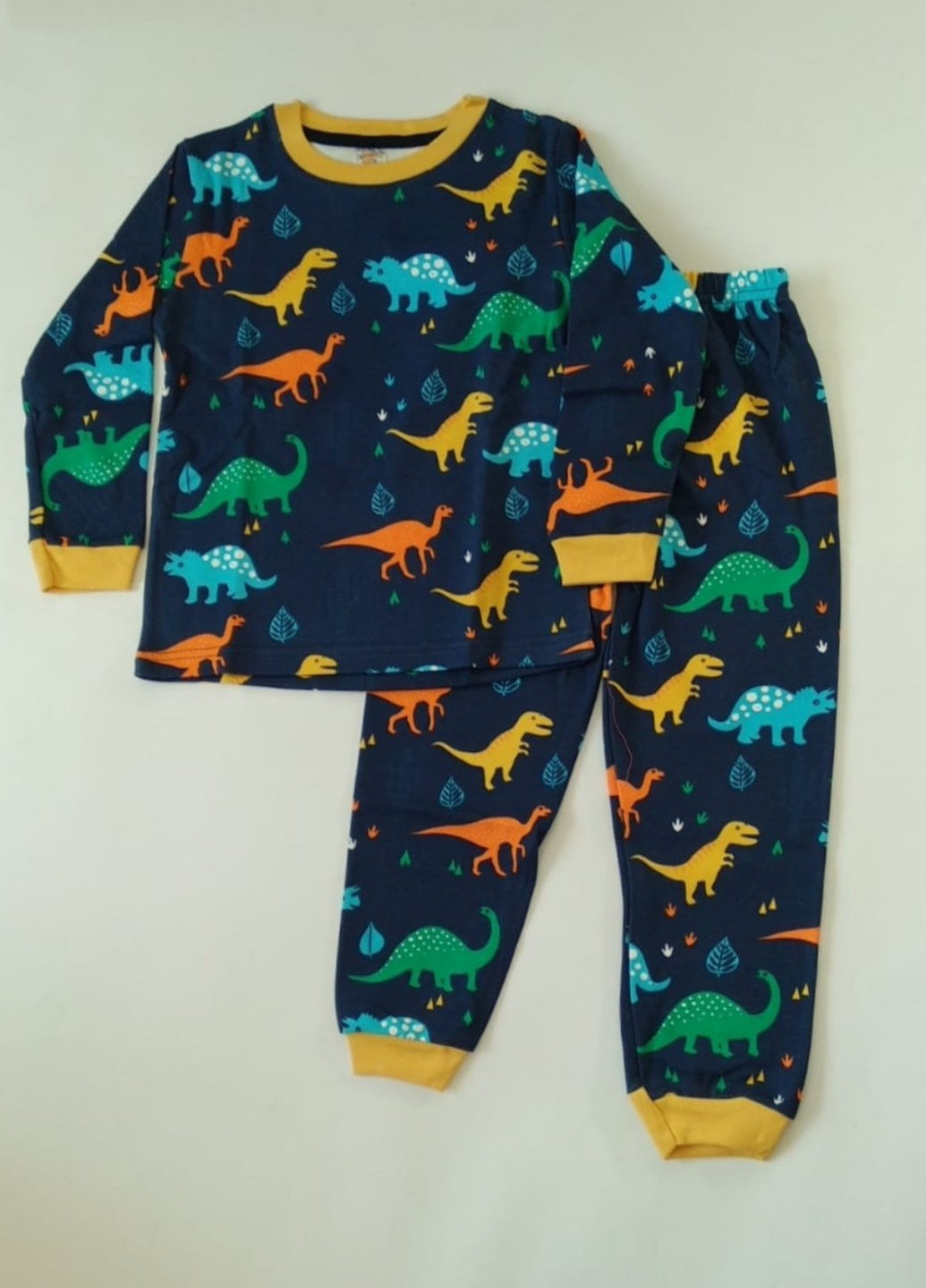Синя всесезон комплект пижама (свитшот, брюки) Elmaskids