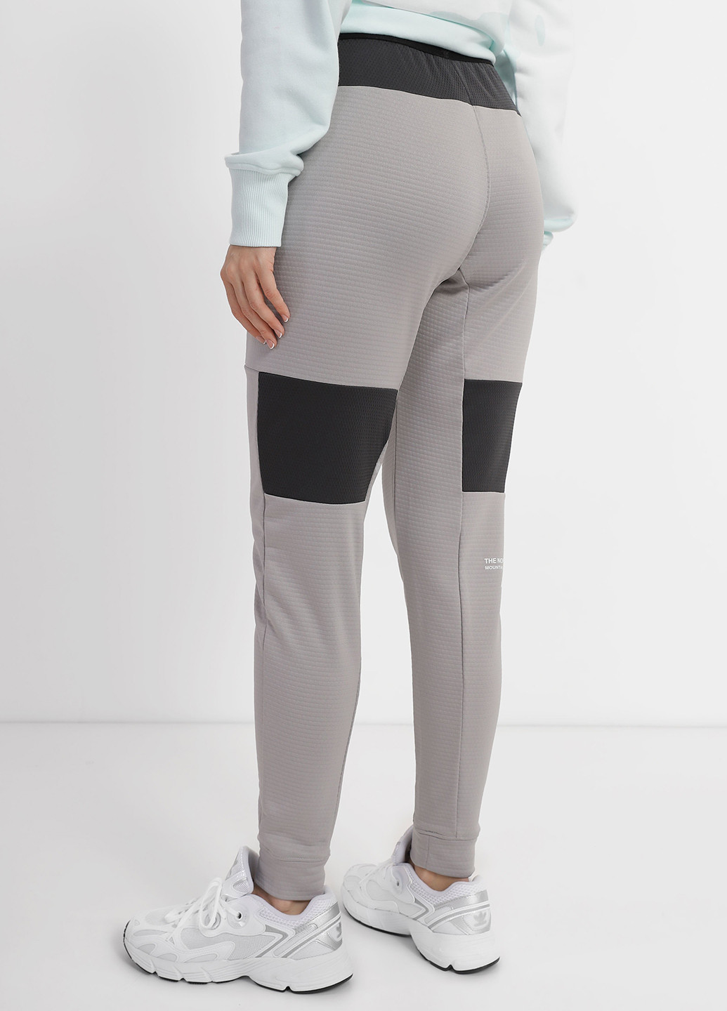 Штани The North Face NF0A824RTDN1 (327368667)