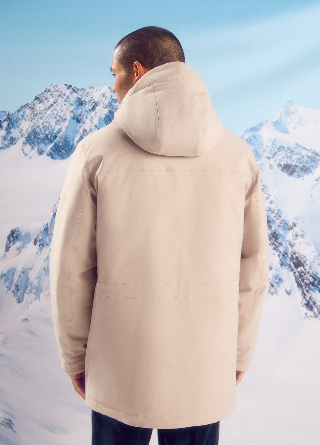 Парка Springfield (315624461)