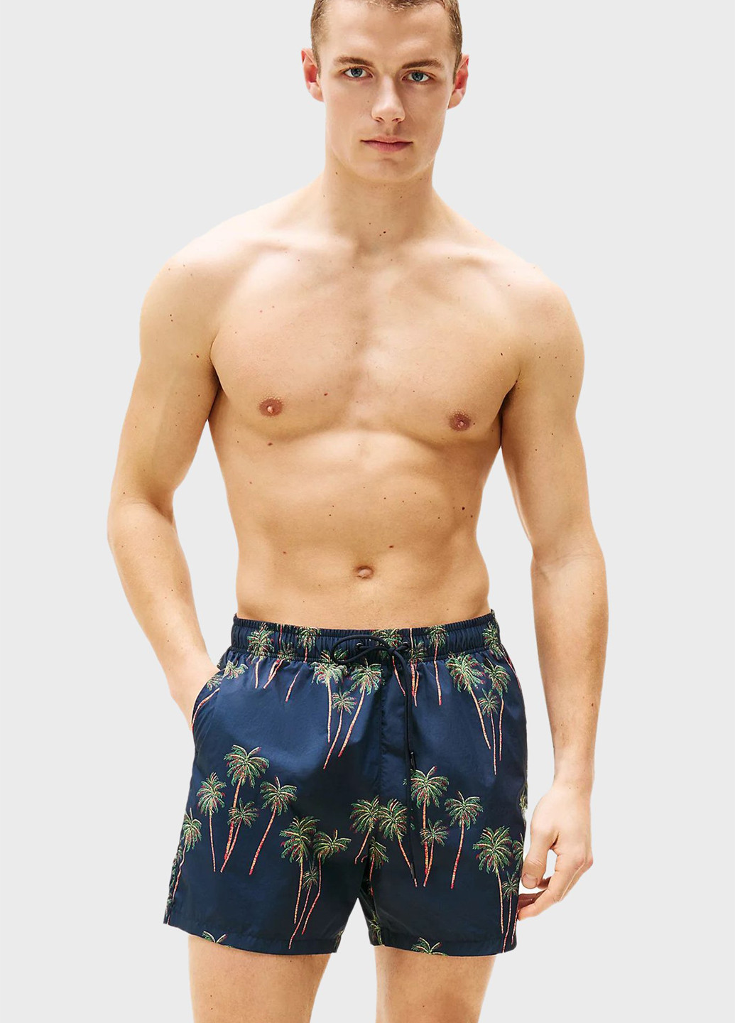 Шорты Tommy Hilfiger (347246534)