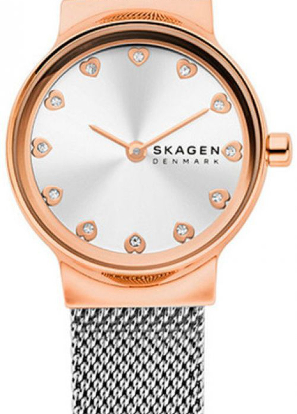 Часы SKW3025 Skagen (253012661)