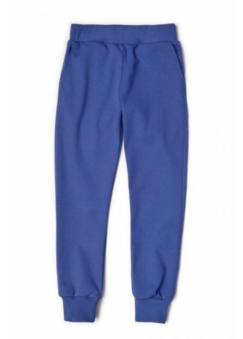 Синие спортивные демисезонные брюки джоггеры ArDoMi