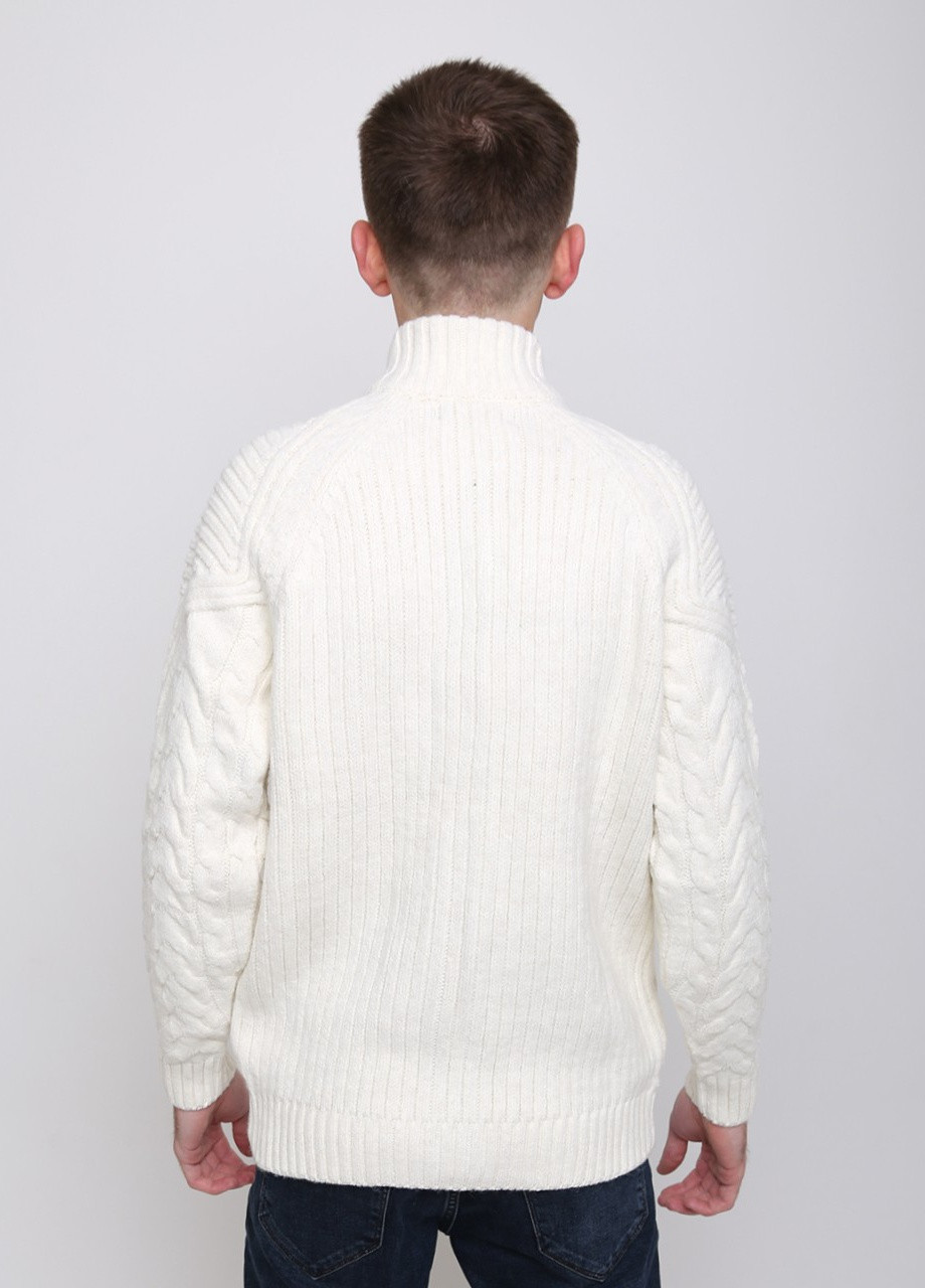 Білий зимовий светр на блискавці чоловічий білий в'язаний Pulltonic Прямой