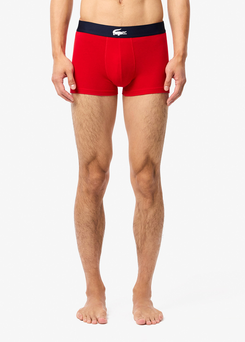 Труси (3шт.) Lacoste (348516928)