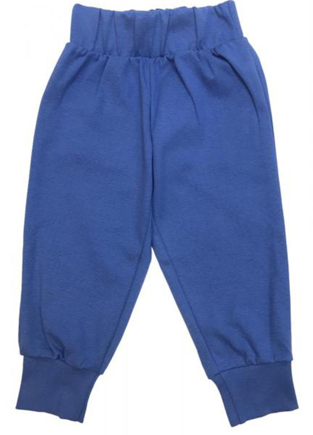 Синие спортивные демисезонные брюки джоггеры ArDoMi