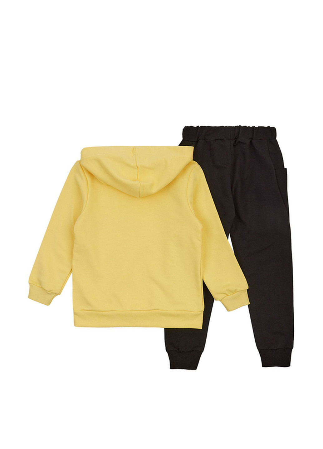 Комбінований демісезонний комплект (худі, штани) Ляля