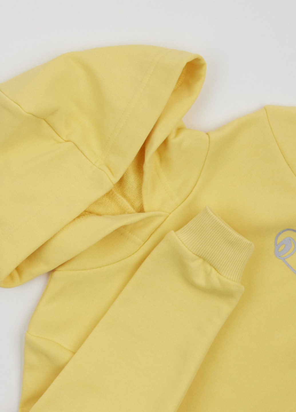 Комбінований демісезонний комплект (худі, штани) Ляля