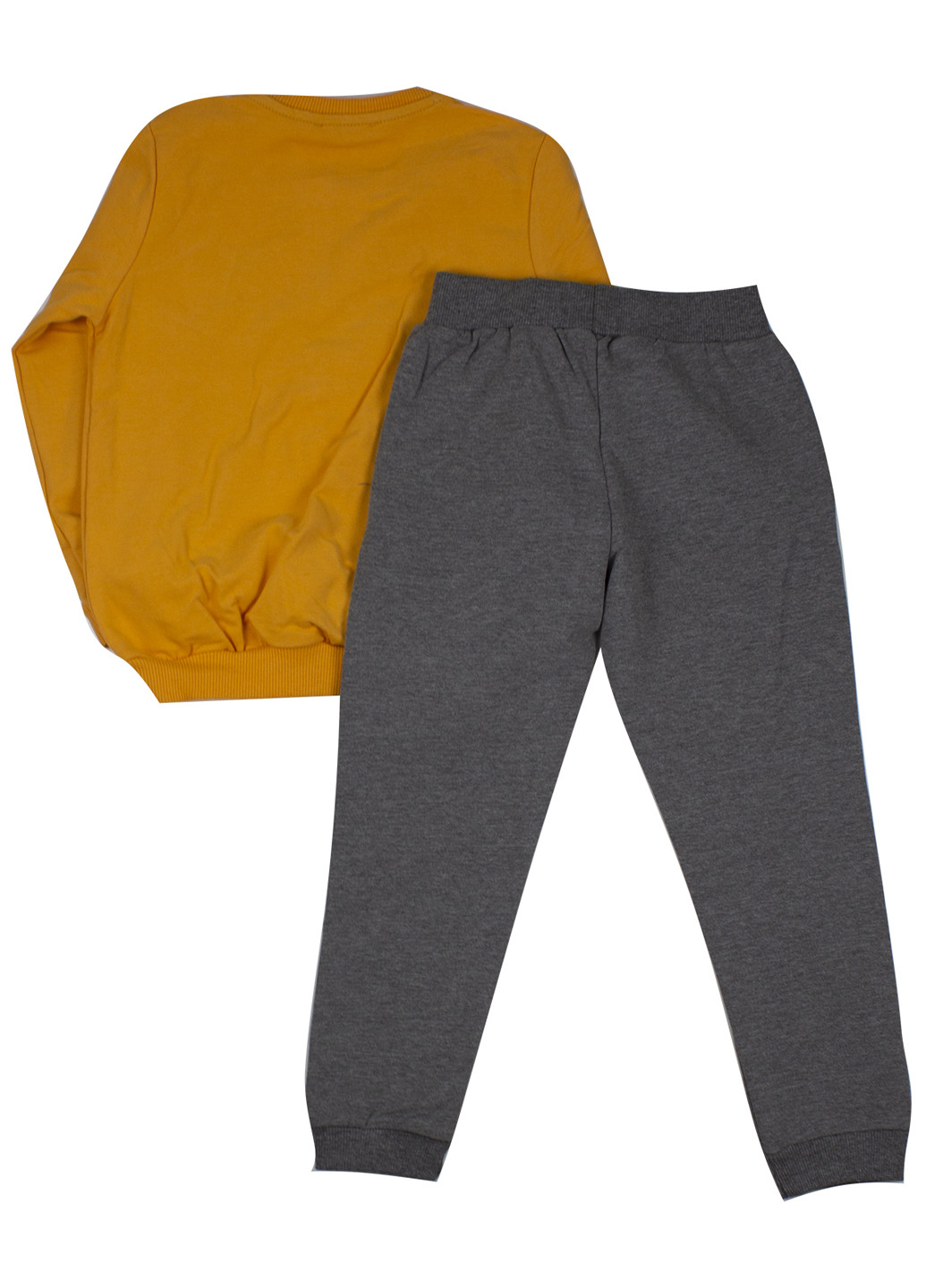 Оранжевый демисезонный костюм (свитшот, брюки) брючный Breeze