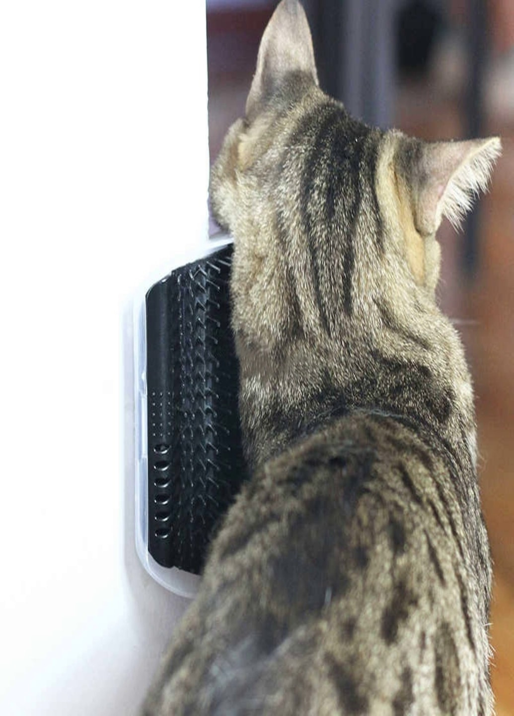 Самогрумер гребінець для догляду за домашніми тваринами щітка для кішок (51466841) Чорний Francesco Marconi (209509494)