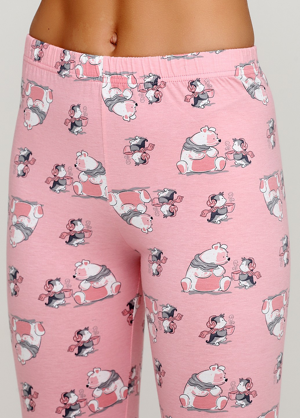 Розовая зимняя комплект плотный трикотаж (свитшот, брюки) Sude