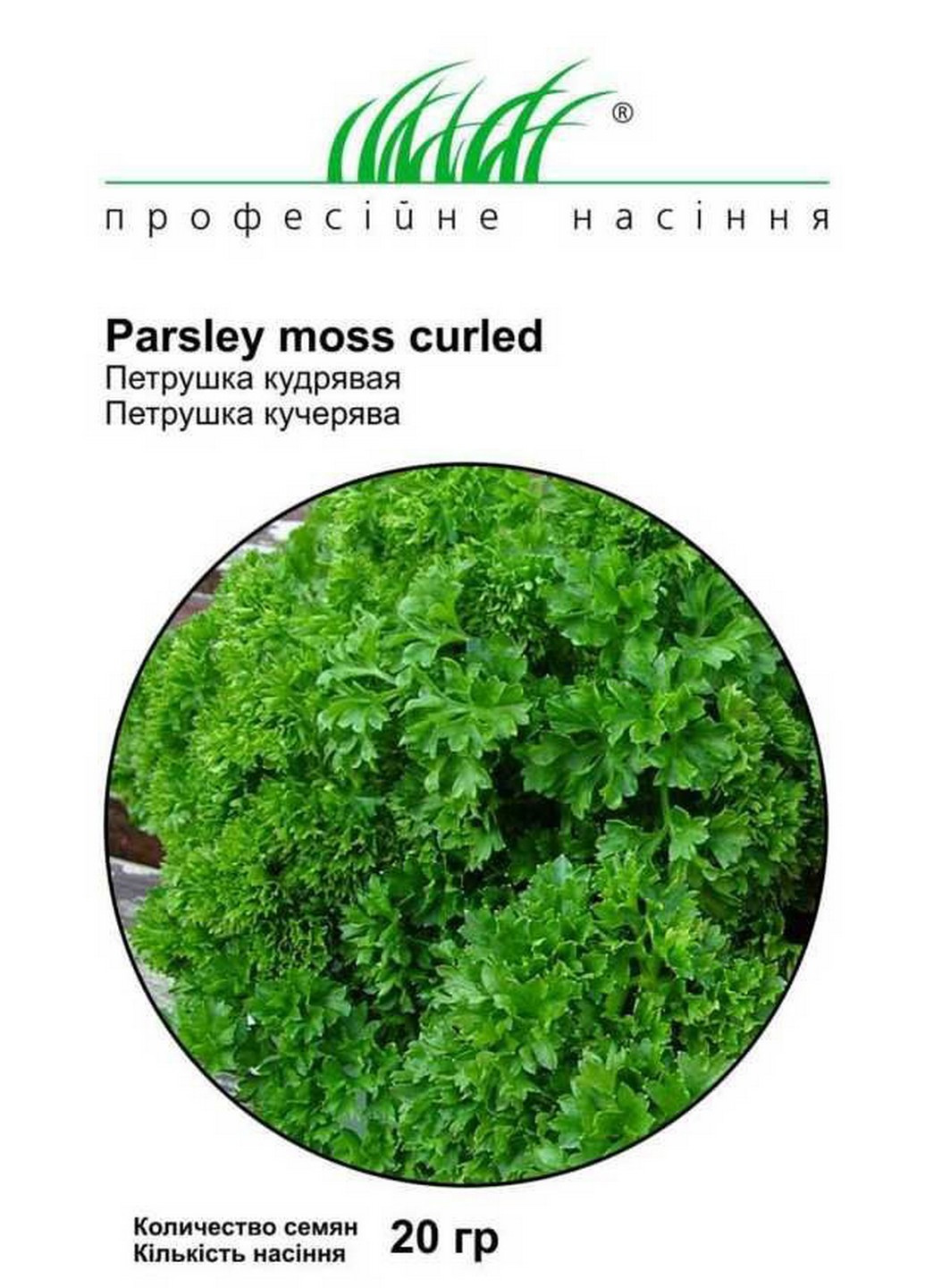 Насіння Петрушка Кучерява 20 г Професійне насіння (215963629)
