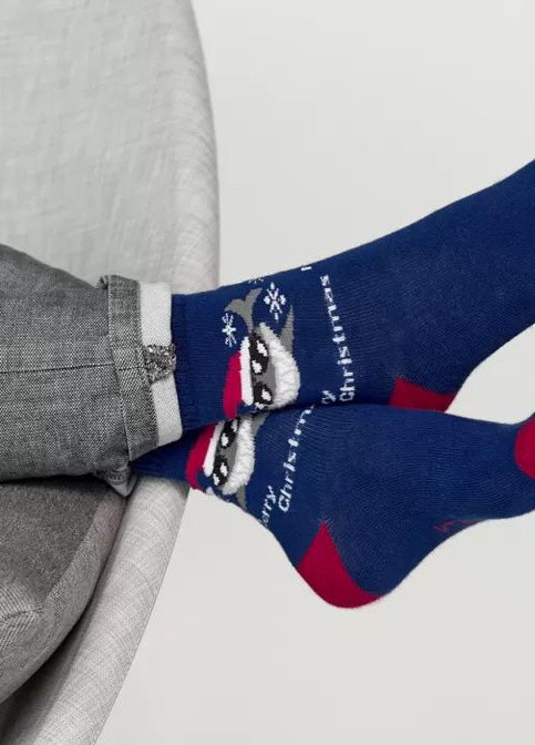 Сині шкарпетки V&T Socks (251966053)