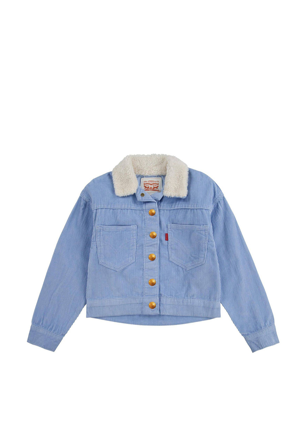 Голубая демисезонная куртка Levi's