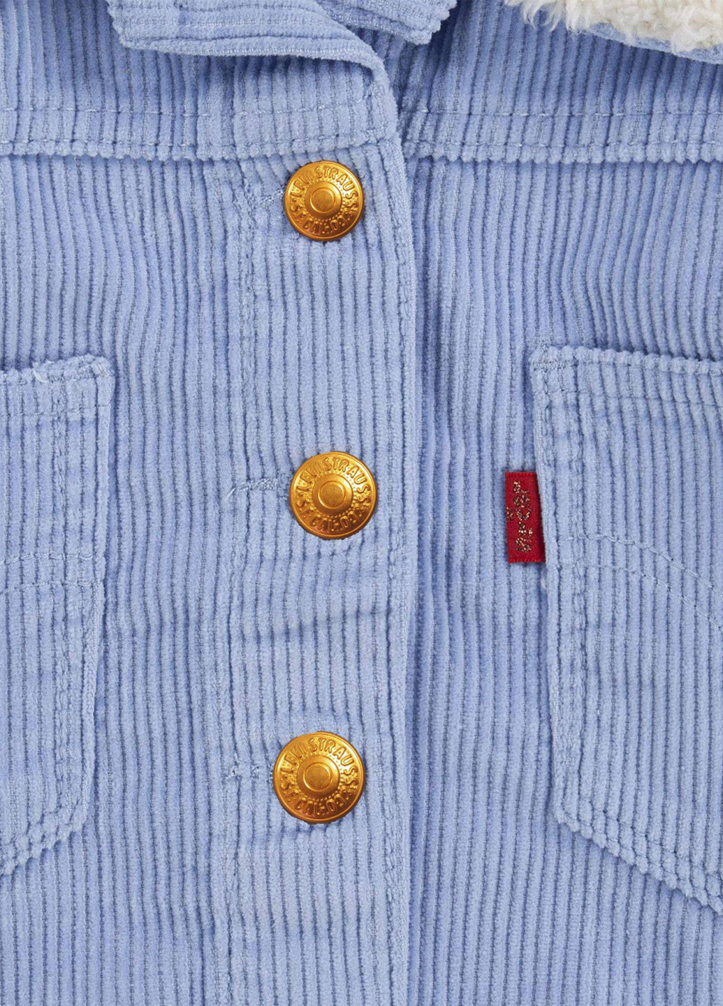 Голубая демисезонная куртка Levi's