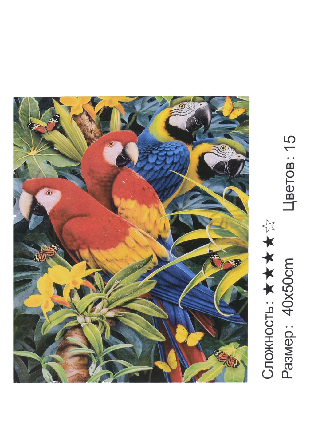 Картина по номерам + Алмазная мозайка Попугаи 40 х 50 см Kimi (252102238)