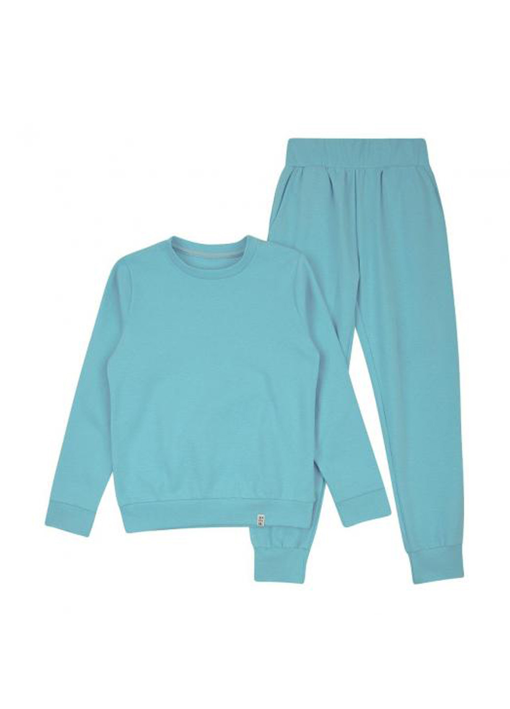 Светло-бирюзовый демисезонный костюм (свитшот, брюки) брючный ArDoMi