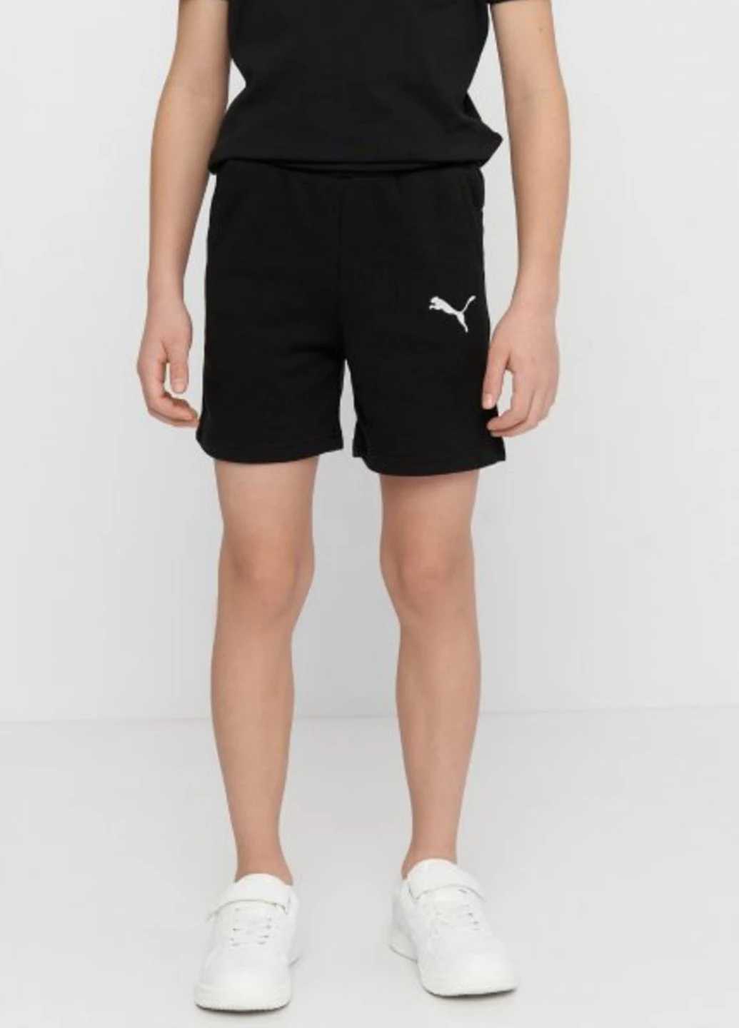 Шорты 65671203 Puma Teamgoal23 Casuals (318311460)