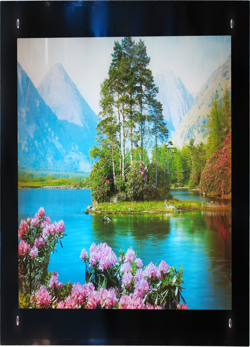 Картина з підсвічуванням SW-506 Brille (221307203)