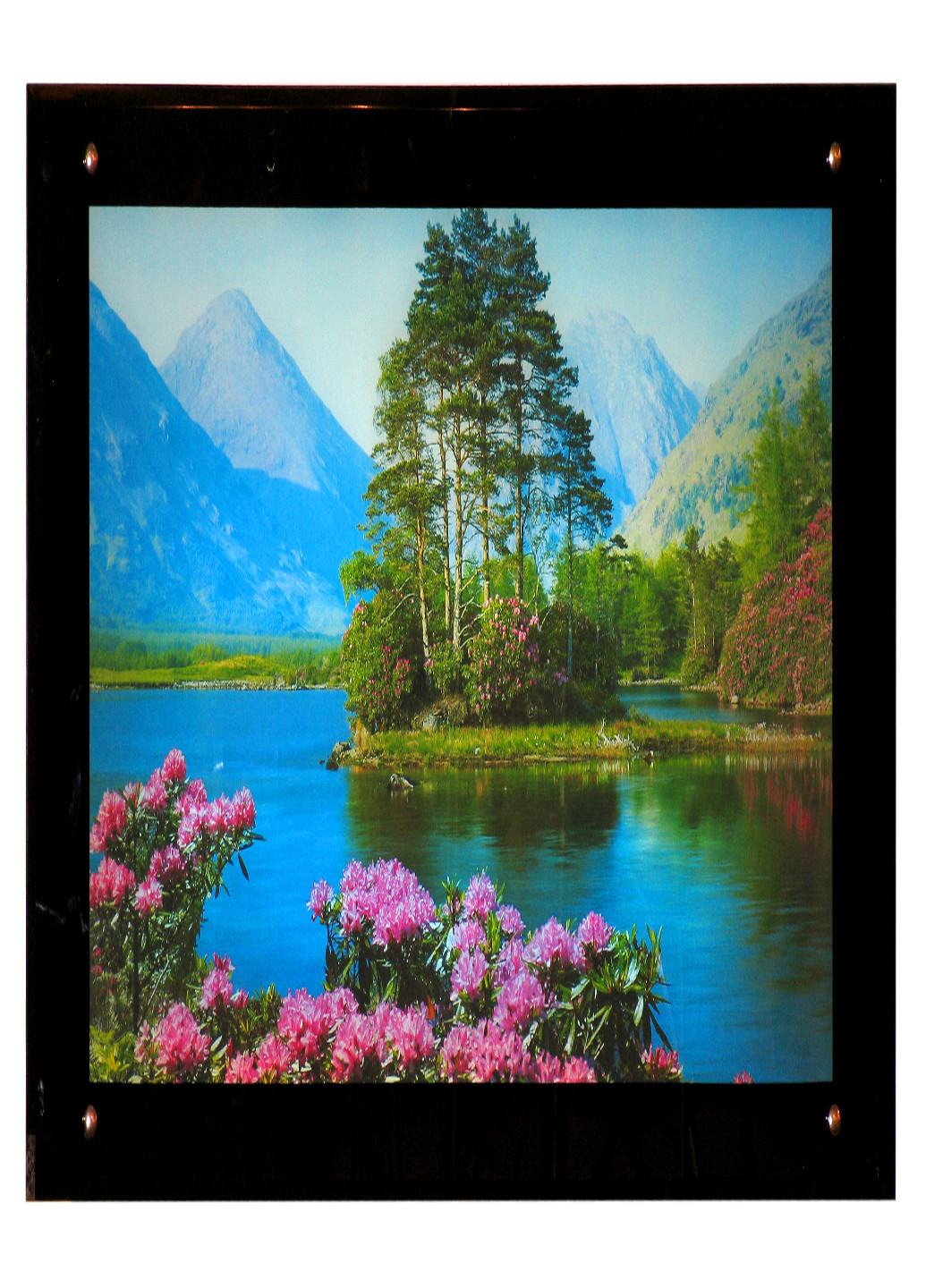 Картина з підсвічуванням SW-506 Brille (221307203)