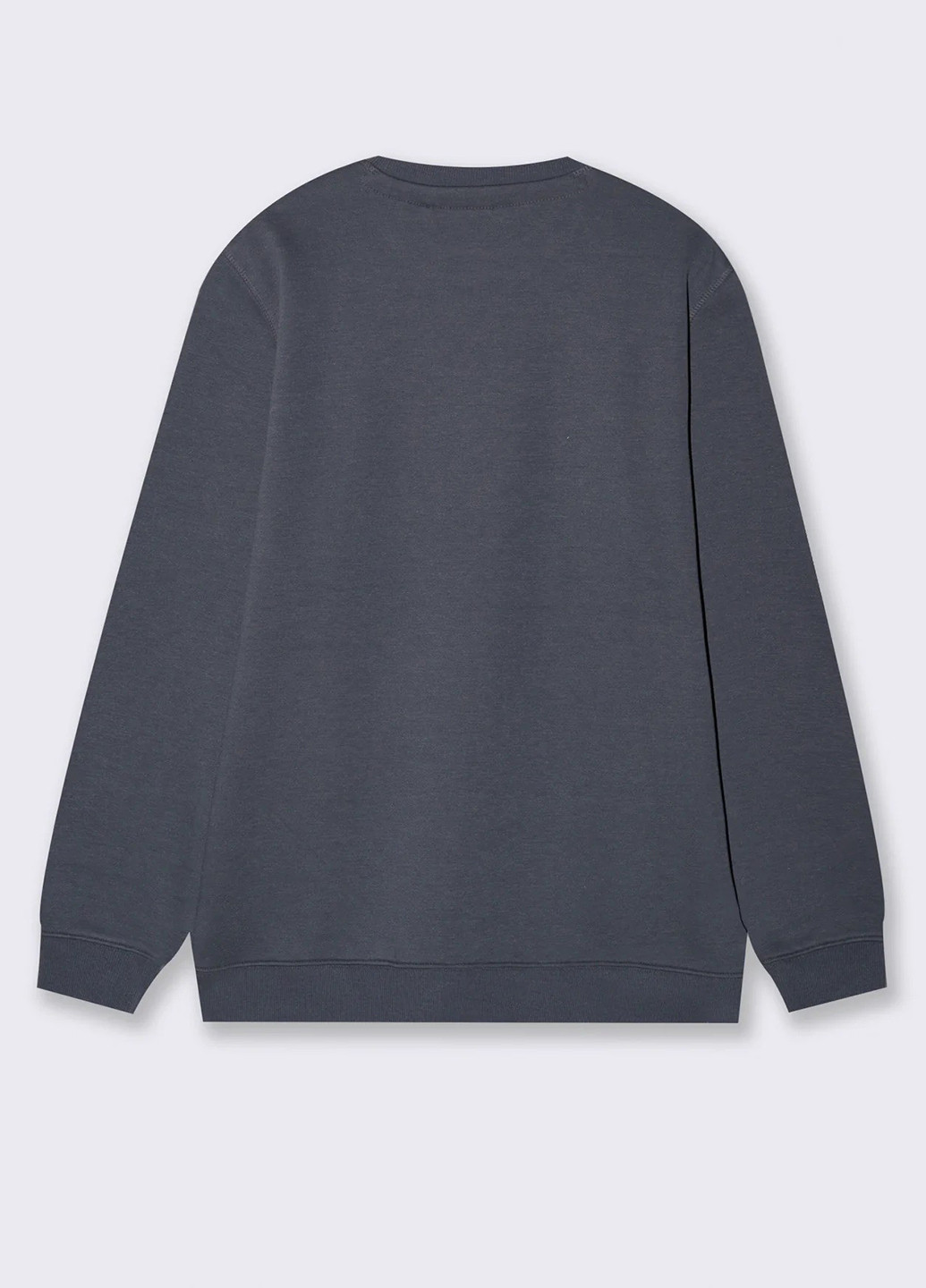 Серый свитшот Piazza Italia однотонный без декора (363048331)