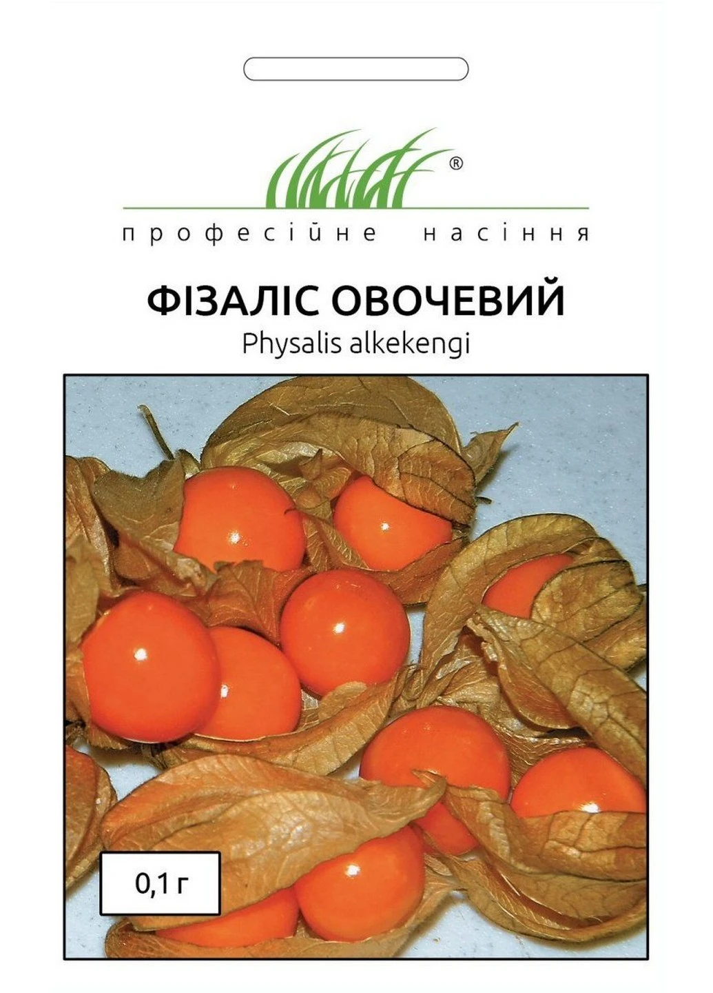 Семена Физалис овощной 0,1 г Професійне насіння (215963676)