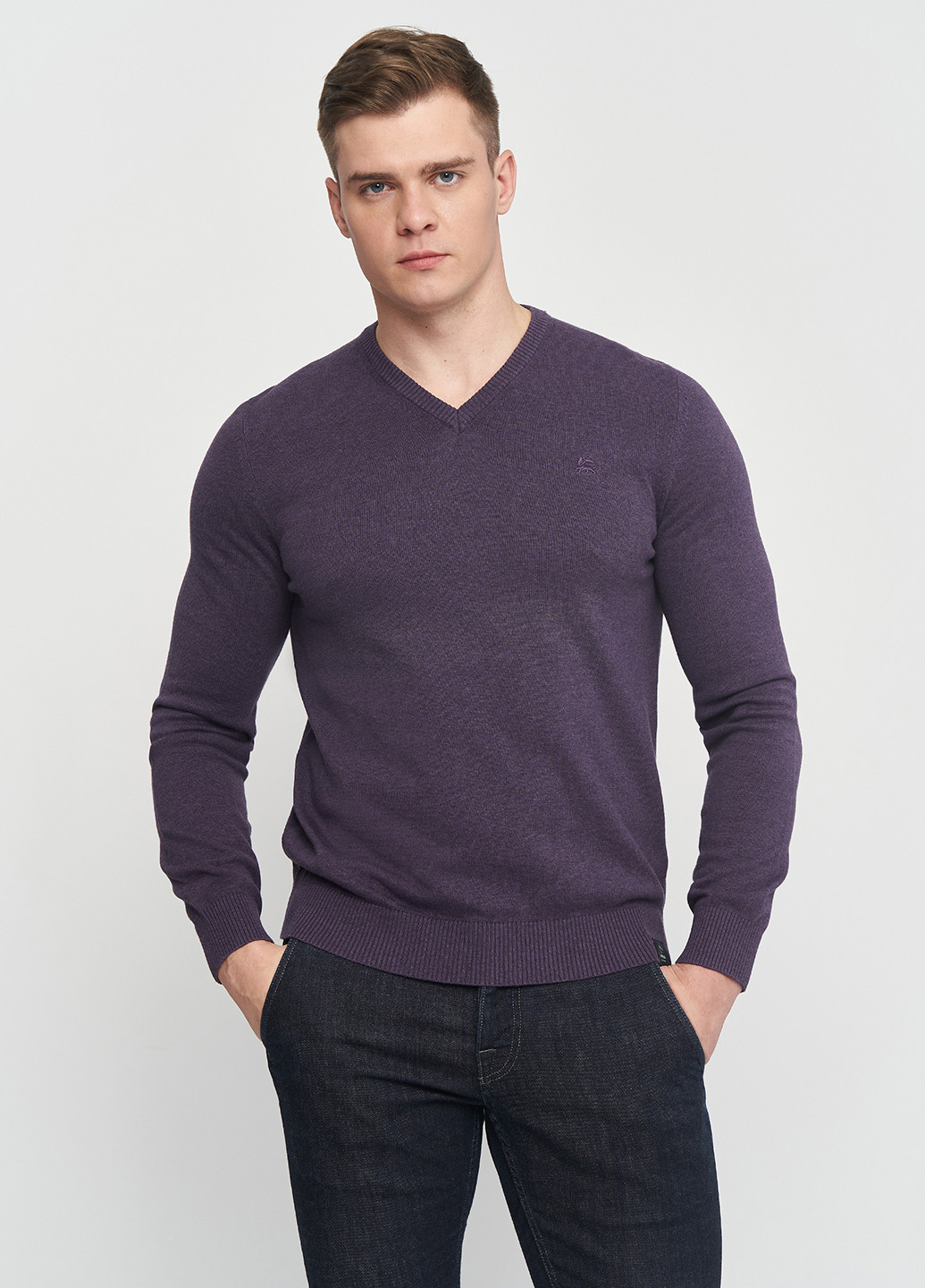 Фиолетовый демисезонный пуловер пуловер Lerros