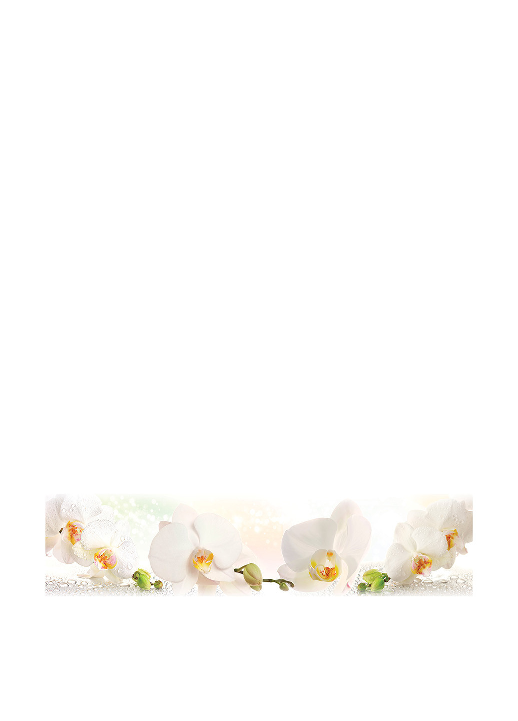 Кухонный фартук Белая орхидея, 65х250 см Zatarga (129208058)