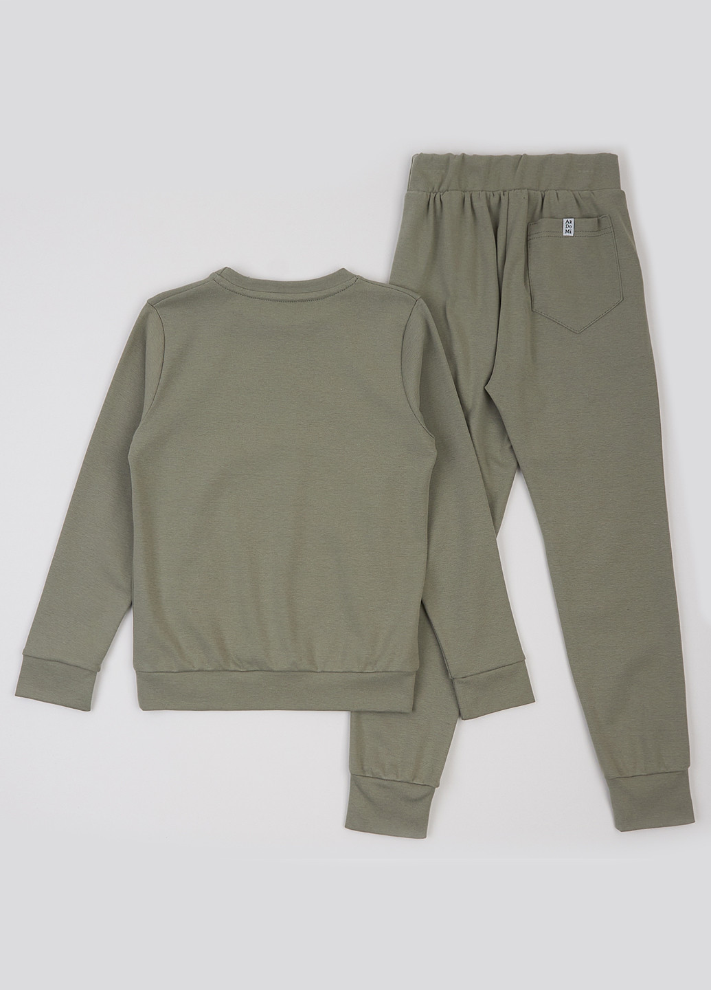 Костюм (свитшот, брюки) ArDoMi (307510774)