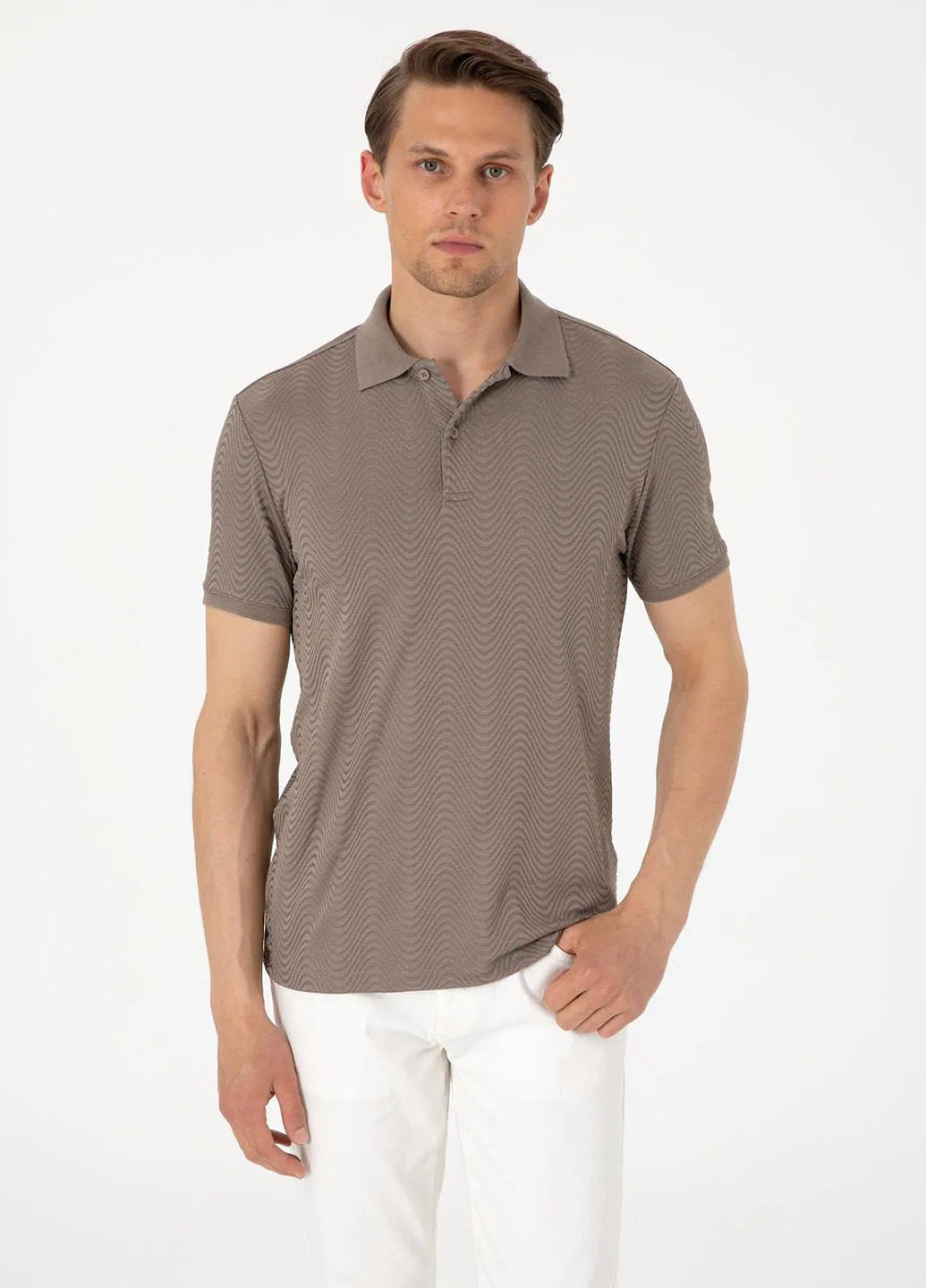 Поло Pierre Cardin (346474476)