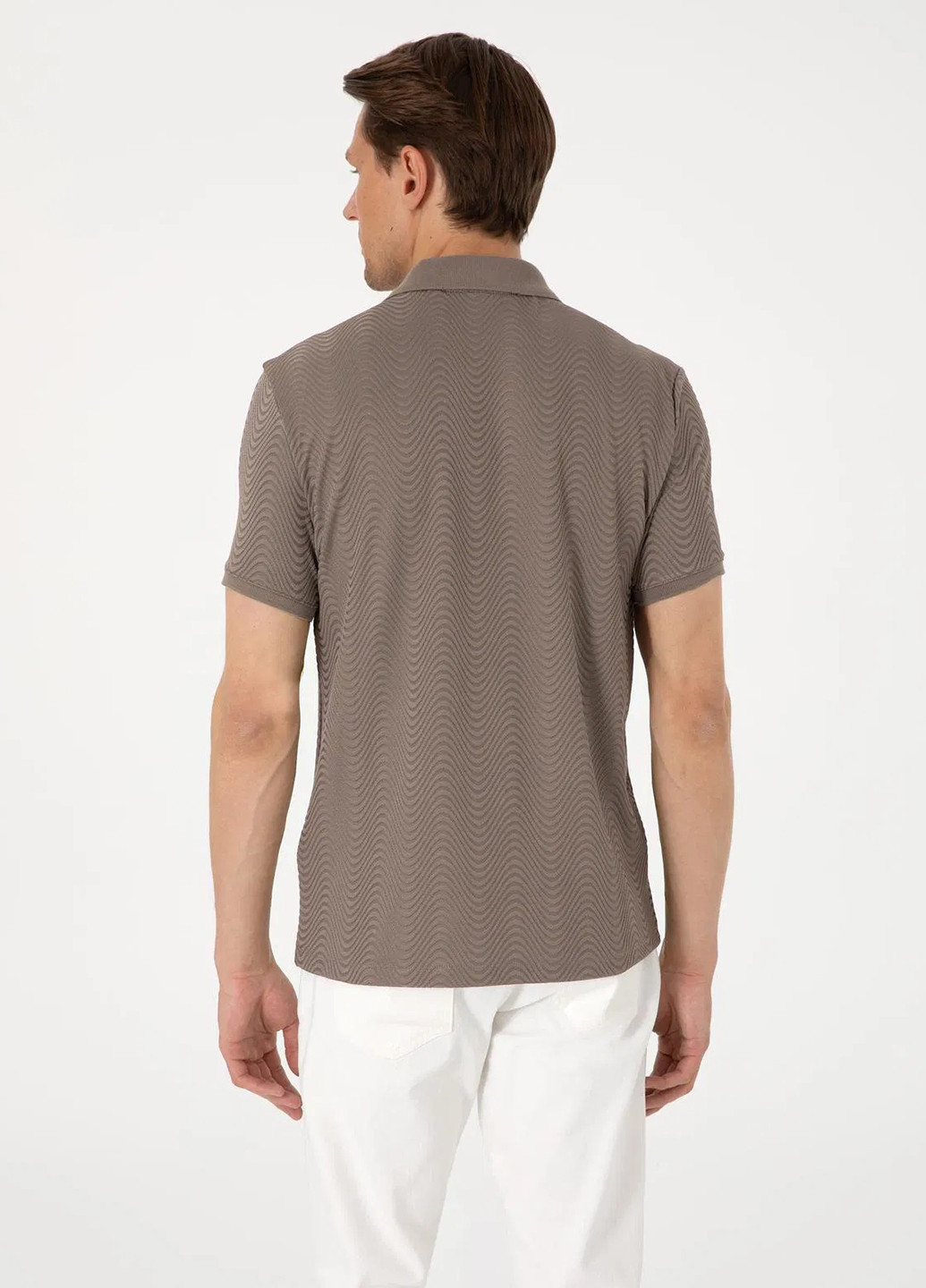 Поло Pierre Cardin (346474476)