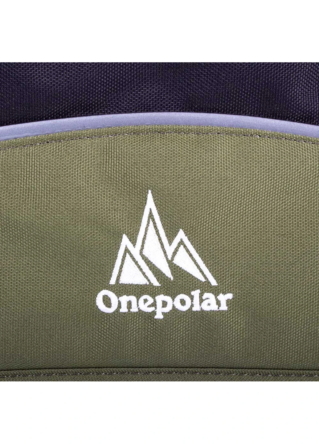 Чоловіча сумка спортивна 38х30х9,5 см Onepolar (253032269)