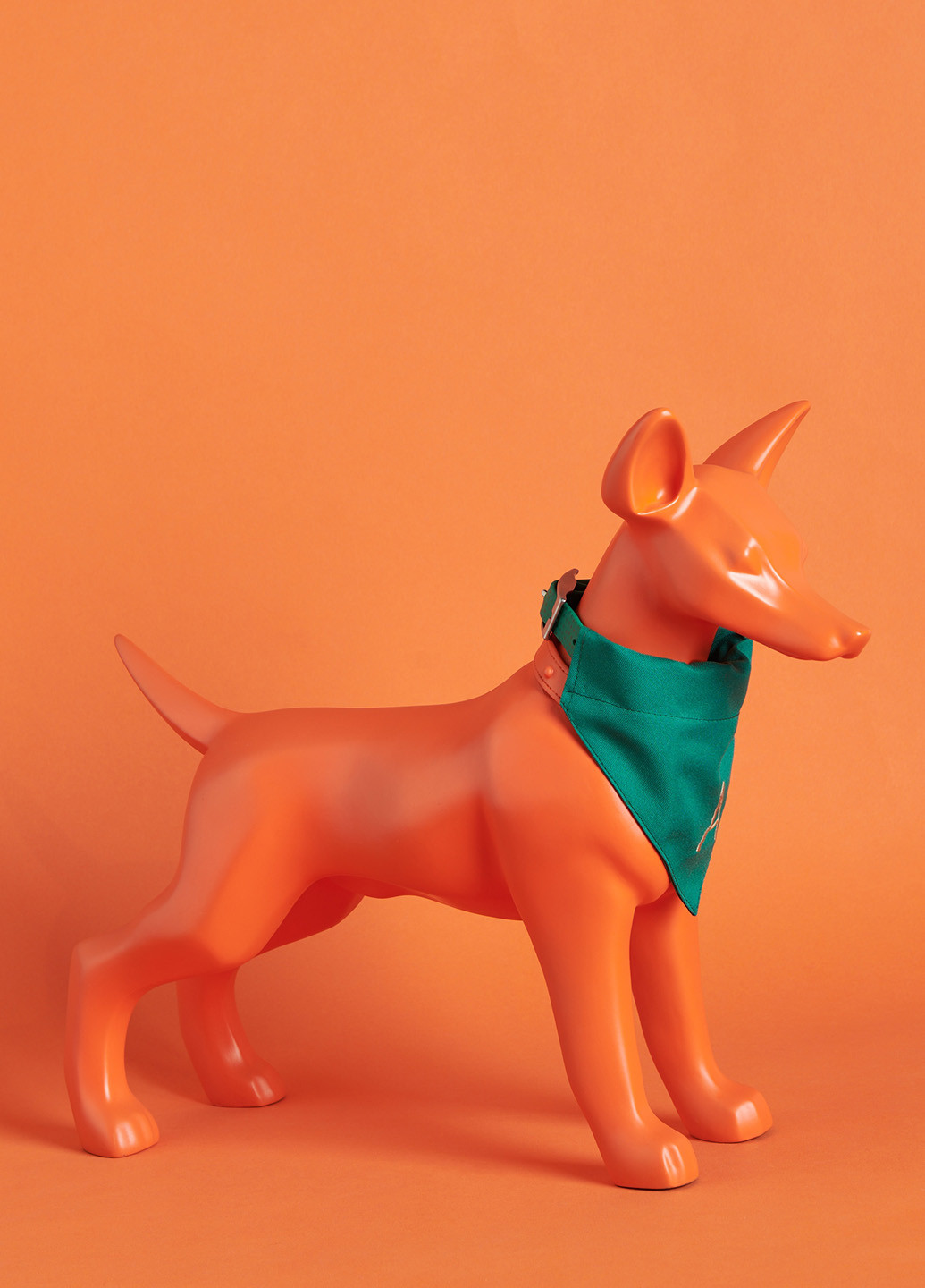 Нашийник Reserved (300226888)