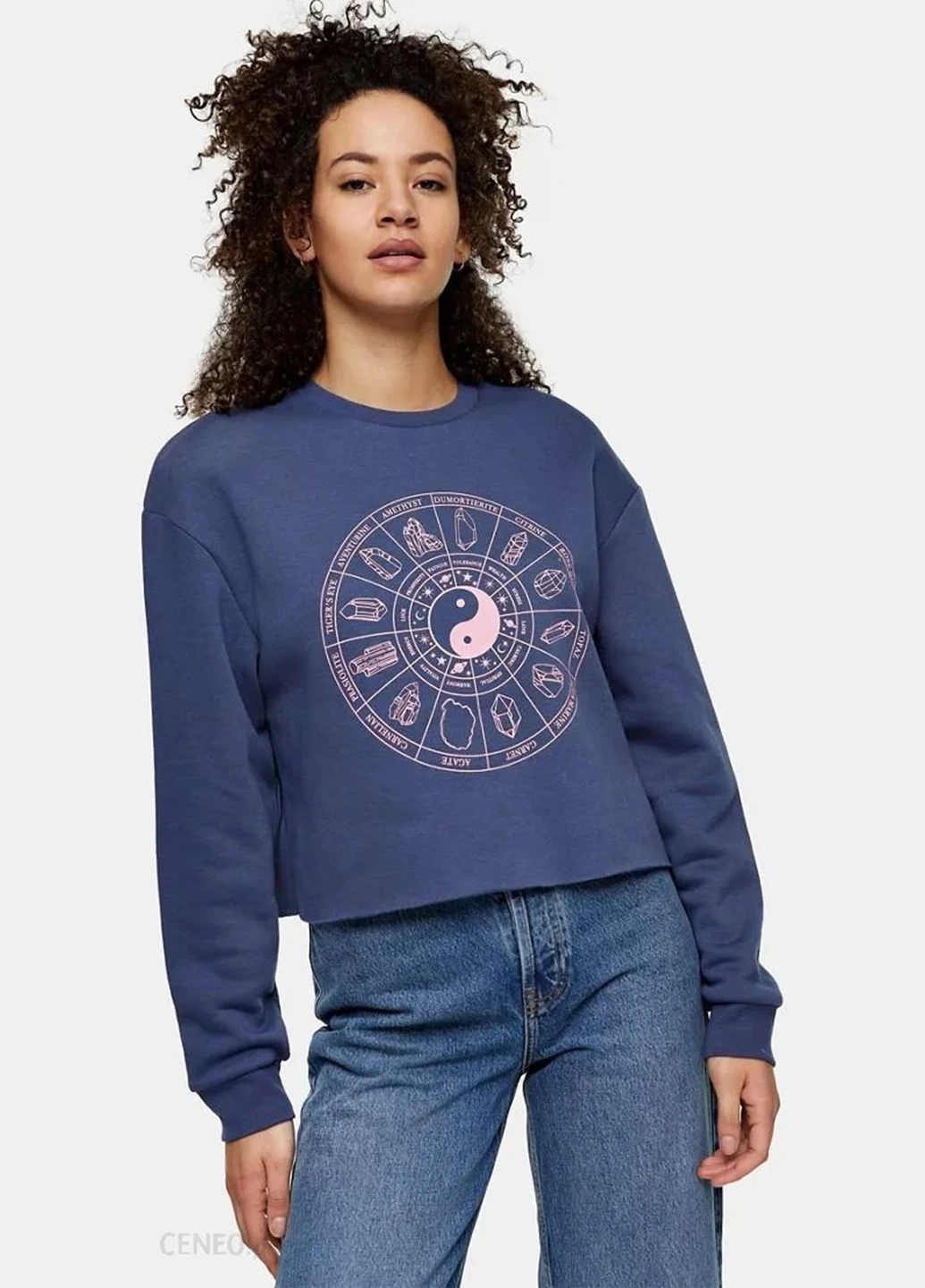 Синий свитшот Topshop рисунок без декора (257865370)