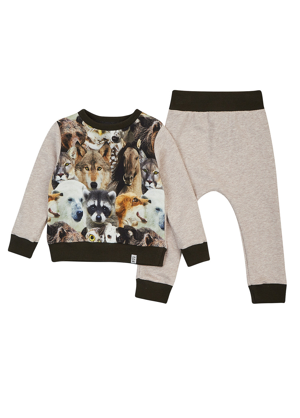 Комбинированный демисезонный костюм (свитшот, брюки) брючный ArDoMi