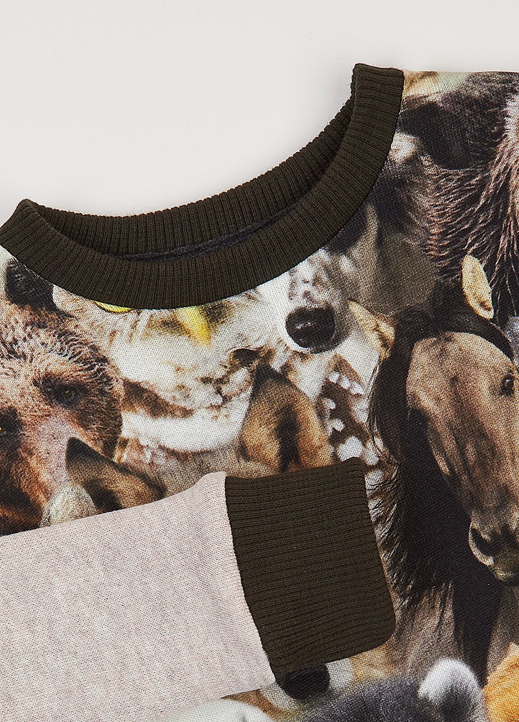 Комбинированный демисезонный костюм (свитшот, брюки) брючный ArDoMi