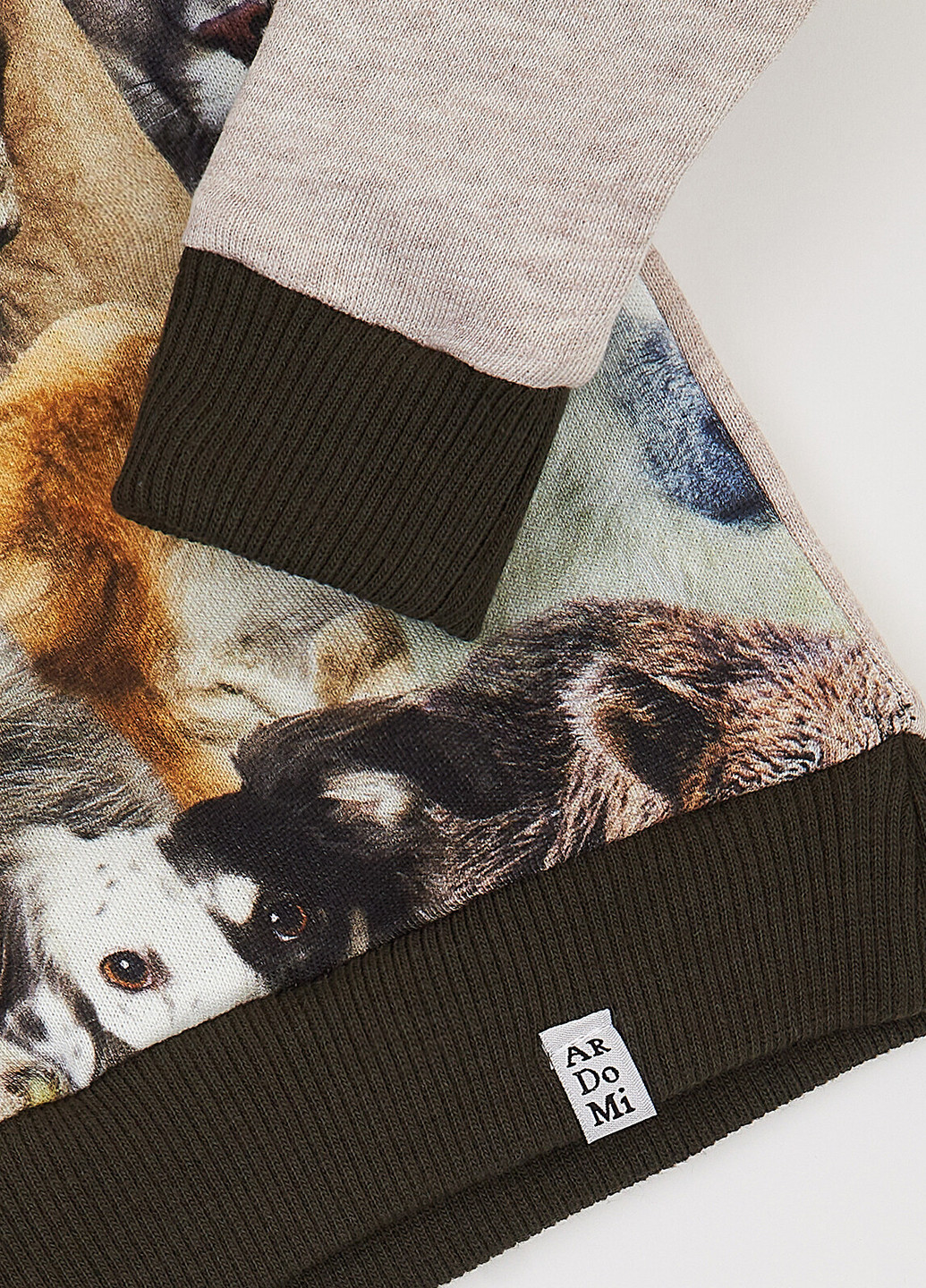 Комбинированный демисезонный костюм (свитшот, брюки) брючный ArDoMi