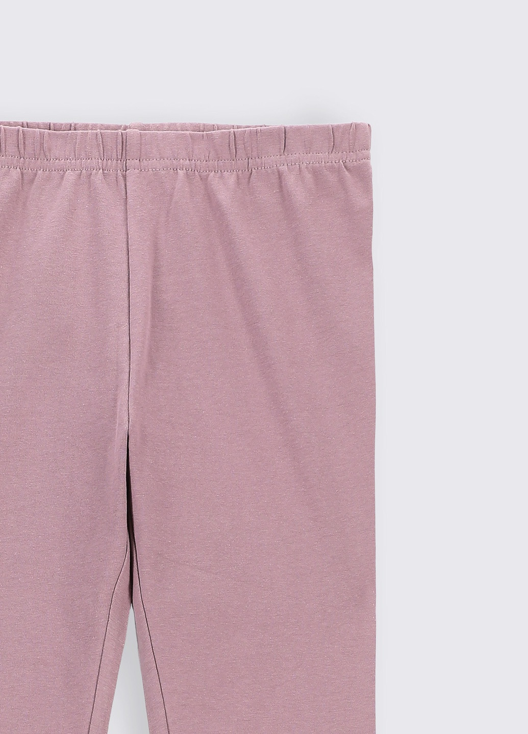 Фиолетовые леггинсы Coccodrillo