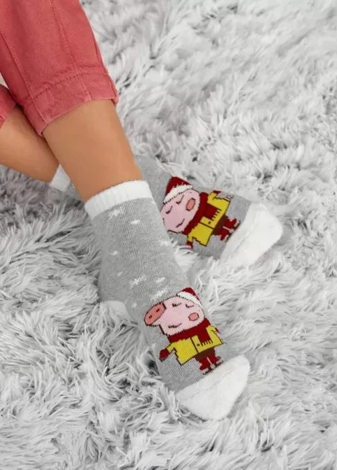 Сірі шкарпетки теплі V&T Socks (251966150)