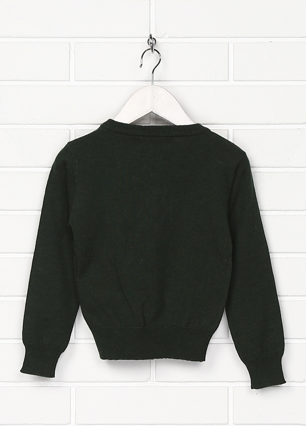 Зелений демісезонний пуловер пуловер Heach Junior