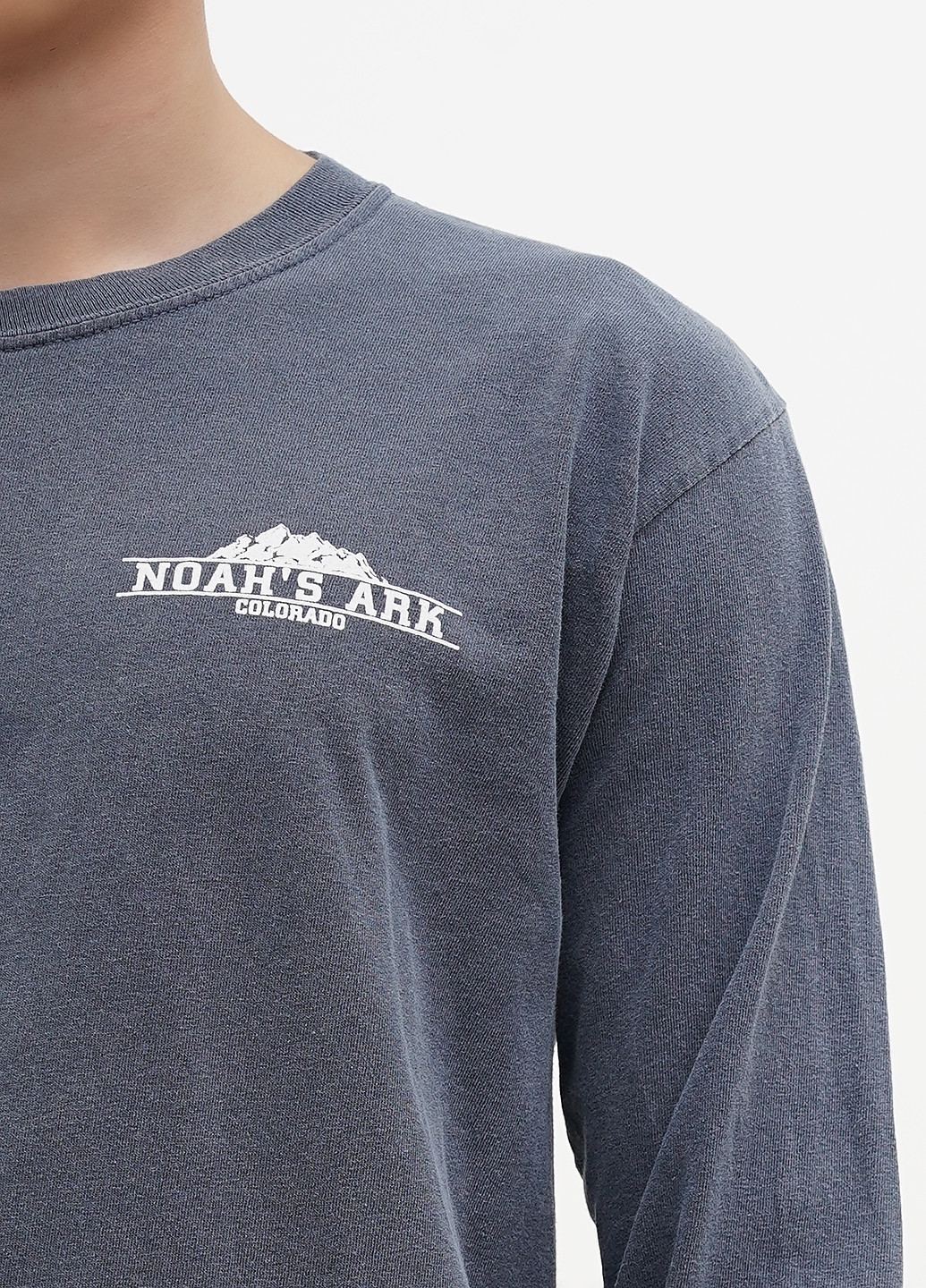 Лонгслів Blue 84 напис темно-сірий кежуали трикотаж, бавовна