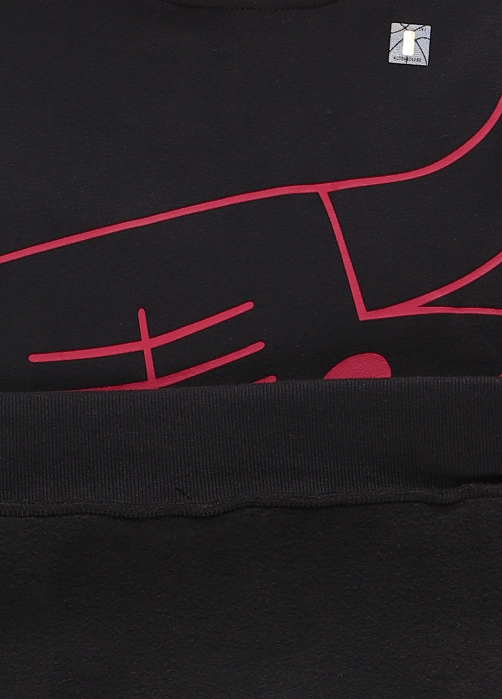 Худі Hollister (332519596)