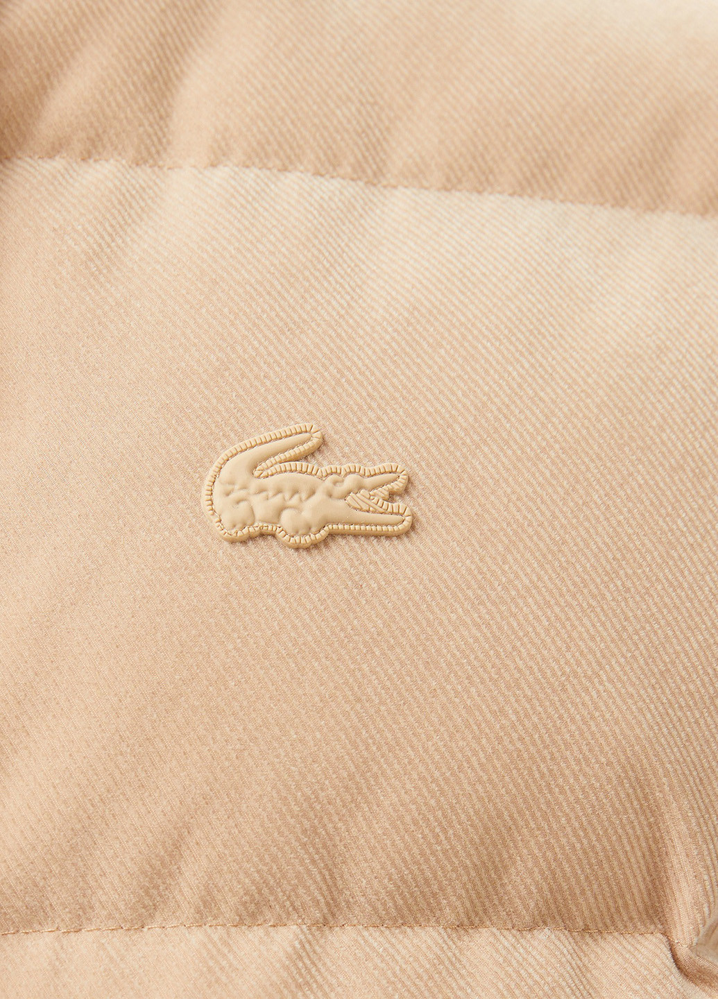 Жилет Lacoste (329148379)