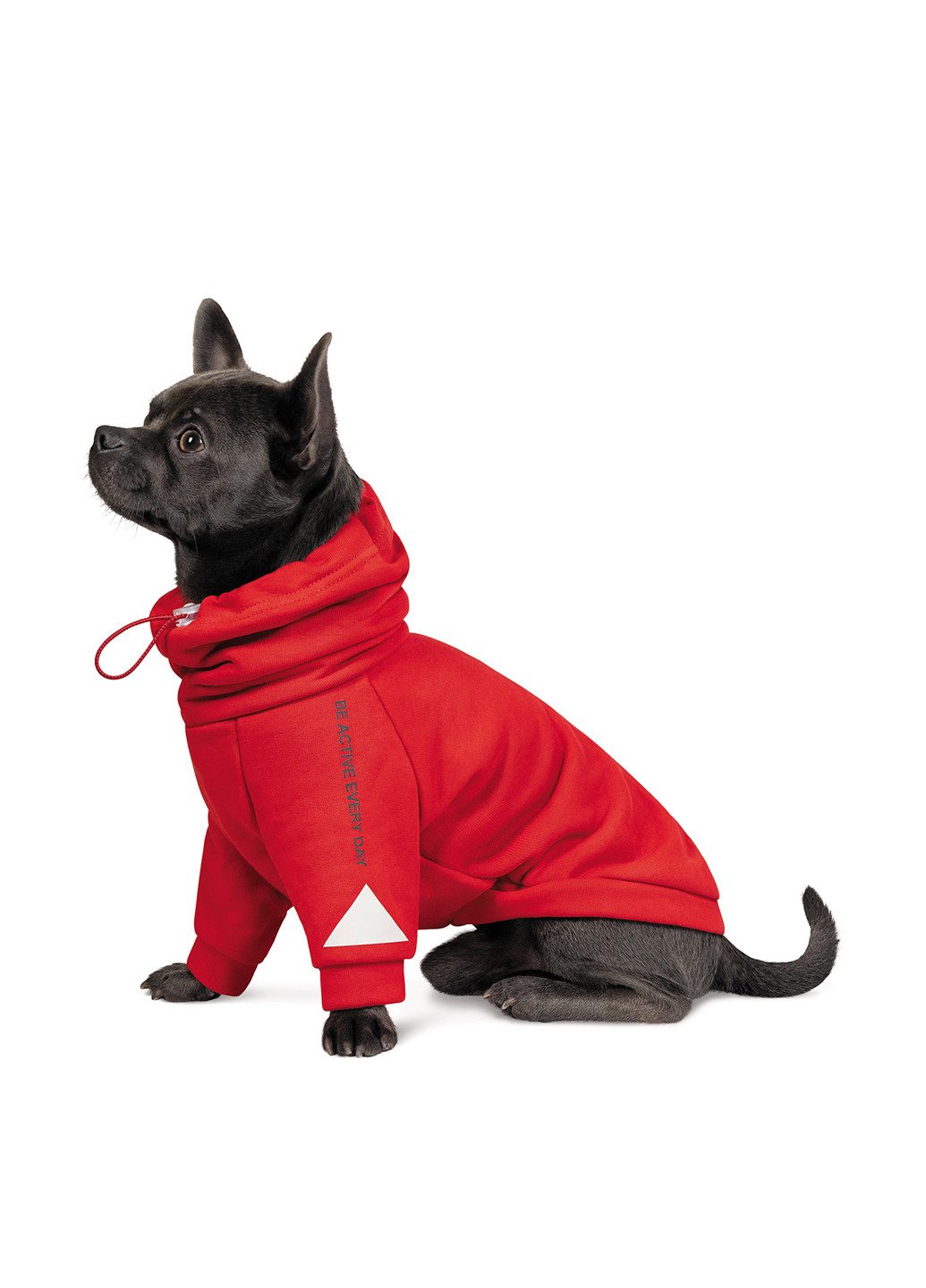 Худи Pet Fashion (252598915)