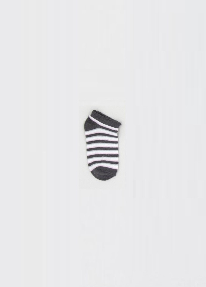 Шкарпетки C&A (255995225)