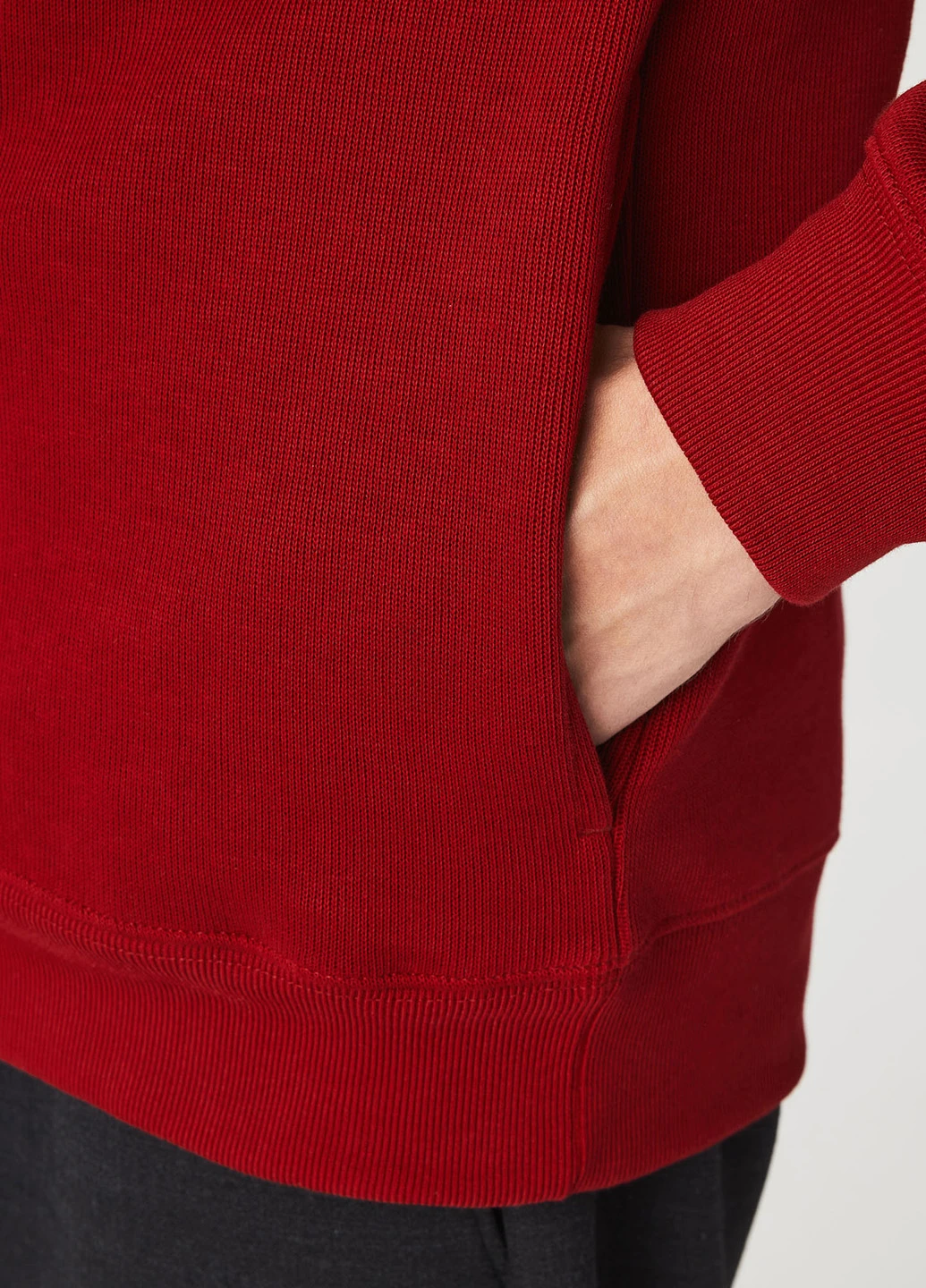 Толстовка Lacoste (329629352)