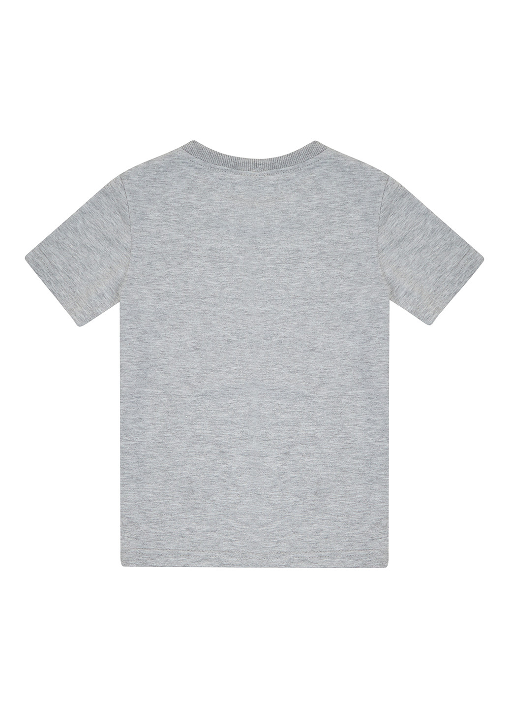 Світло-сіра демісезонна футболка Garnamama