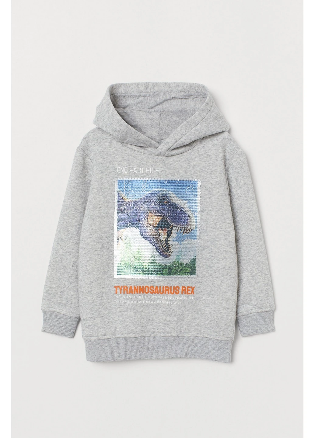 Худи H&M (223726231)