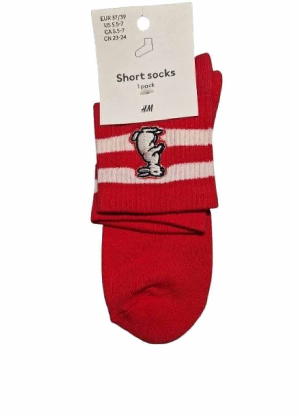 Шкарпетки H&M (367034835)