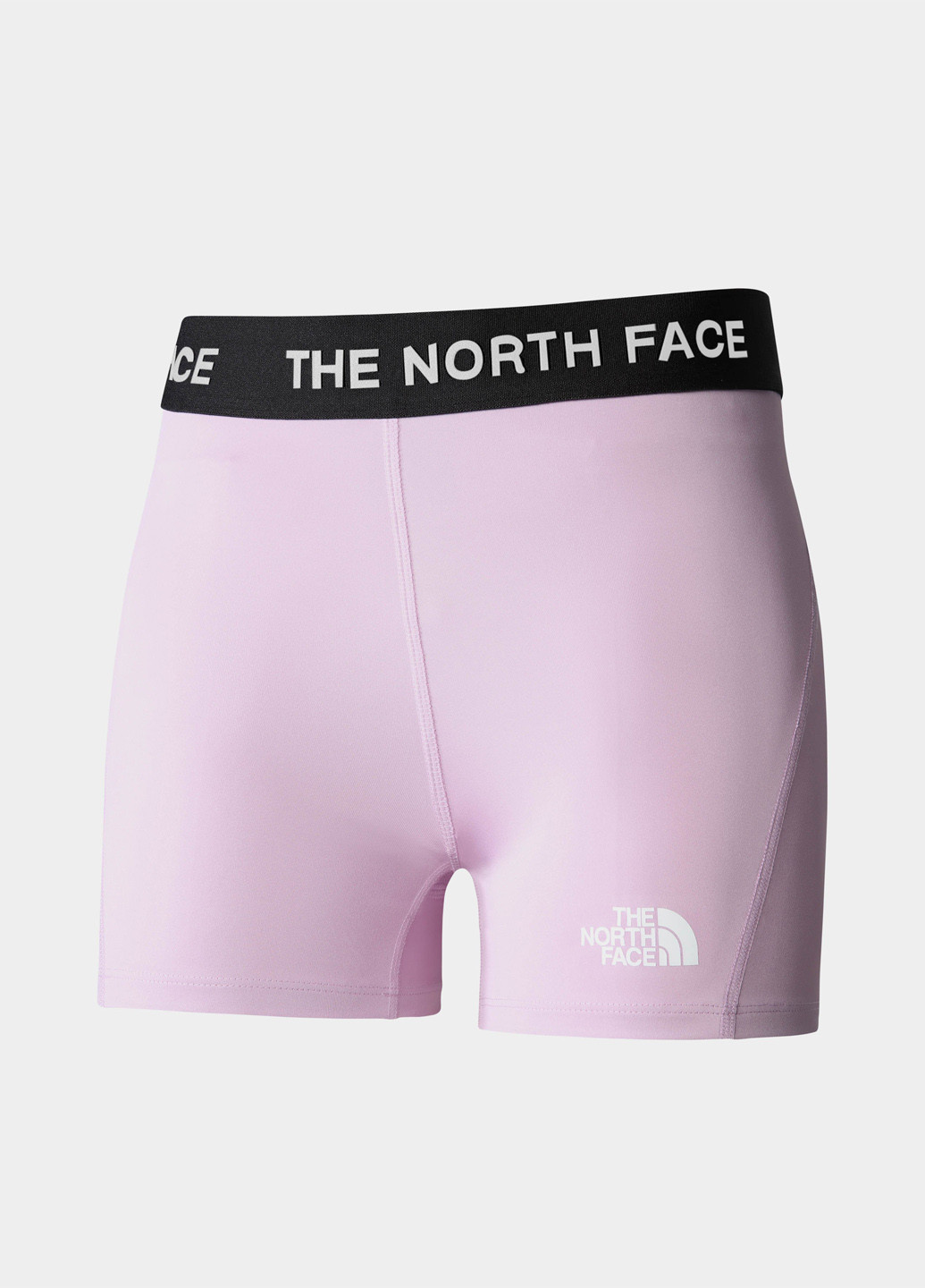 Шорты The North Face (363353744)